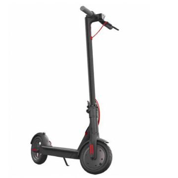 Ebike: Bici elettriche | Biciclette a pedalata assistita | e-bike -  E-SCOOTER | Cingolani