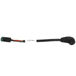 www.cingolanibikeshop.com