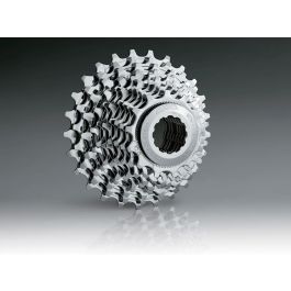 Pacco Pignoni Bicicletta 10 velocità