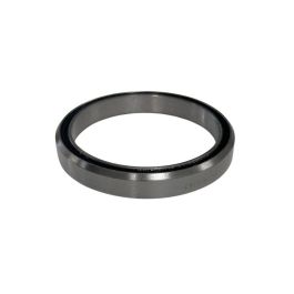 www.cingolanibikeshop.com