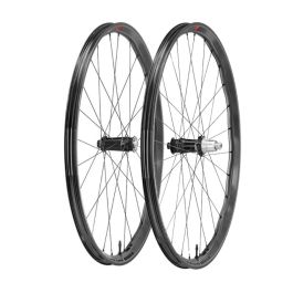 www.cingolanibikeshop.com