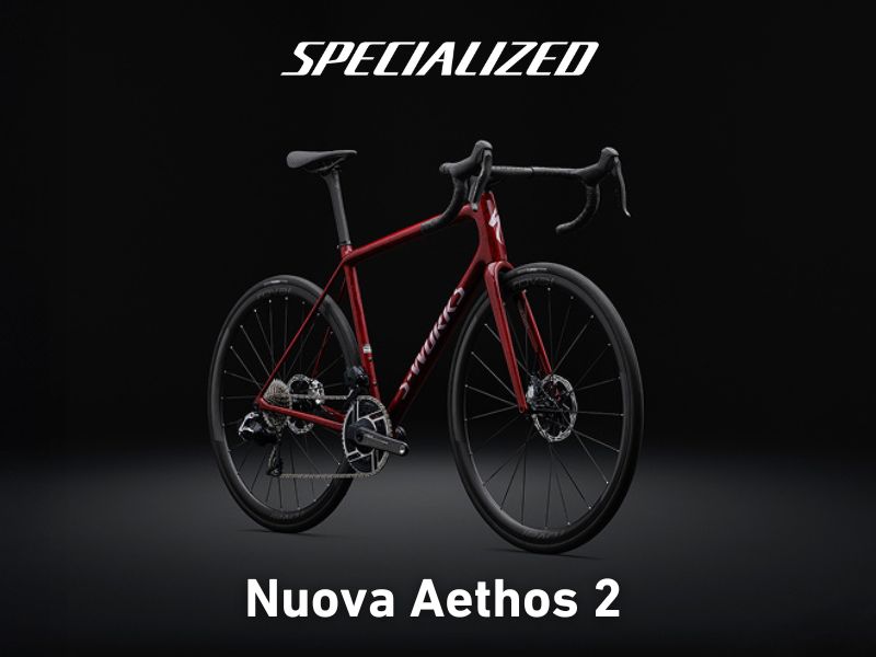 Novità Specialized