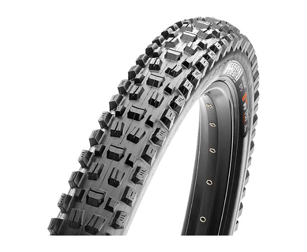 Novità Maxxis 2020 | Cingolani